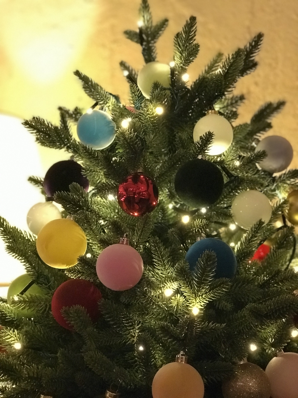 ☆ビストロ ヌガのクリスマス☆